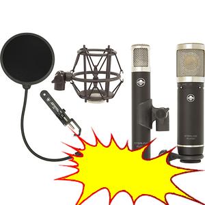 Sterling Audio ST55 / ST31 Condenser Mic Package  